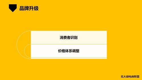 北大微電商聯(lián)盟 移動(dòng)互聯(lián)網(wǎng)時(shí)代的企業(yè)IP與品牌營銷新路徑